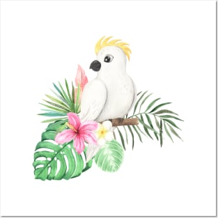 Cute BB Parrot Posters and Art